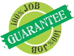 100%  Job Guarantee